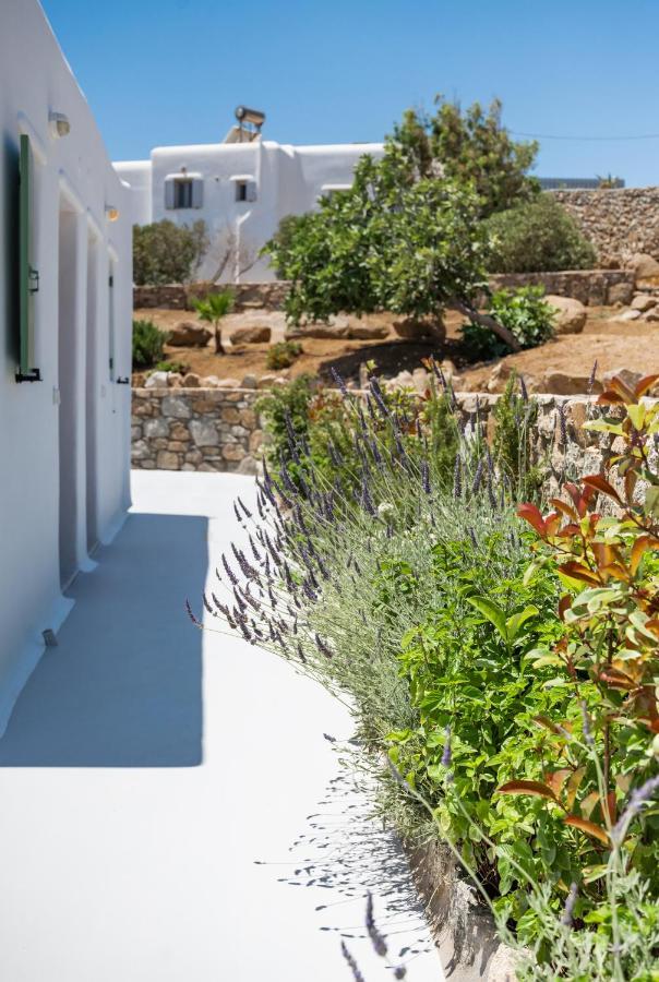 Dioni Villa Mykonos Paraga (Mykonos) Exterior foto